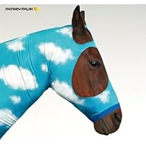 Amazon.co.jp: MONKEY MAJIK×MONKEY MAGIC: ミュージック